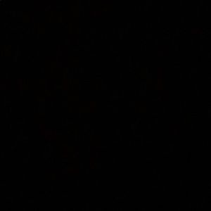 Meet your Posher, Corey